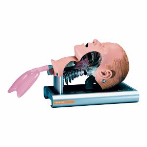 Ambu® Airway Management Trainer